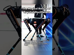 หมาหุ่นยนต์